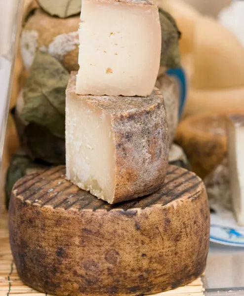 عجلة جبن بيكورينو المصنوعة من حليب الأغنام